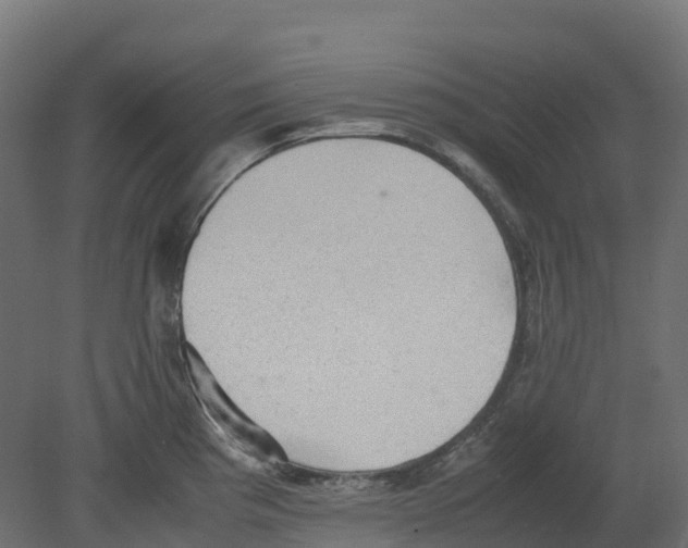 X0000080681193200701121650