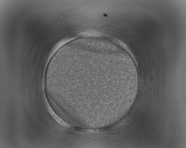 X0000080681195200701121650