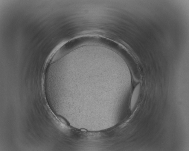 X0000080681196200701121650