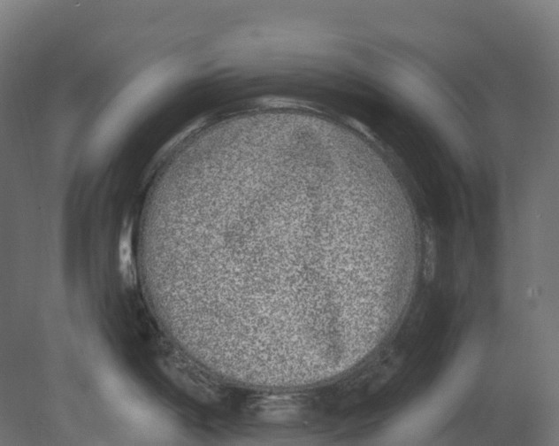 X0000080681198200701121650