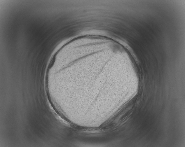 X0000080681199200701121650