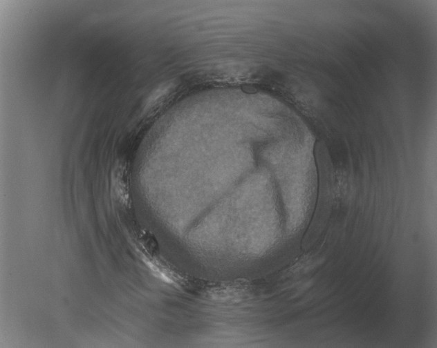 X0000080681202200701121650