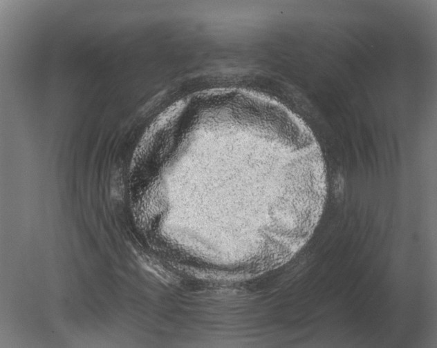 X0000080681204200701121650