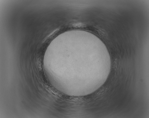 X0000080681205200701121650