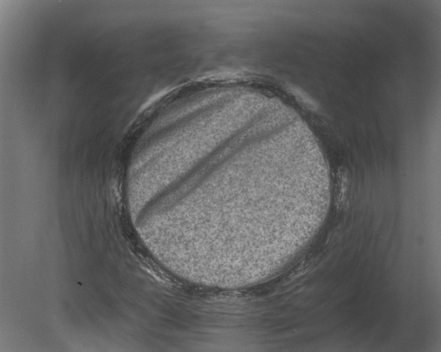 X0000080681206200701121650