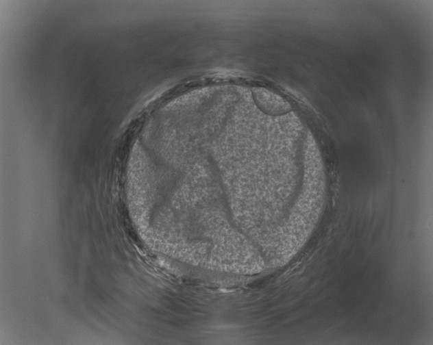 X0000080681207200701121650