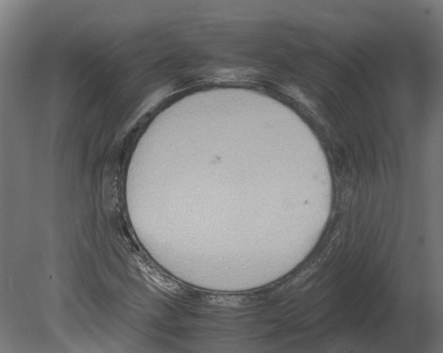 X0000080681211200701121650