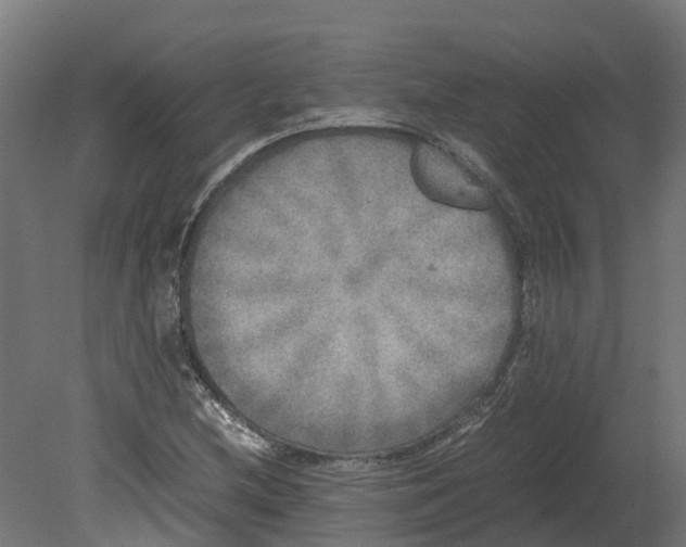 X0000080681212200701121650