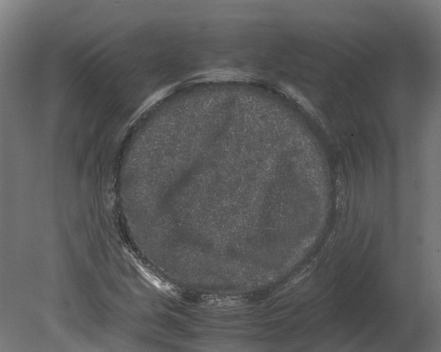 X0000080681213200701121650