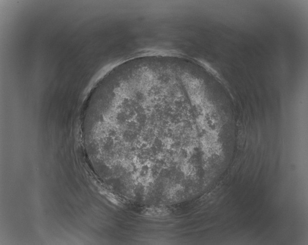 X0000080681215200701121650