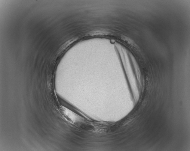 X0000080681217200701121650