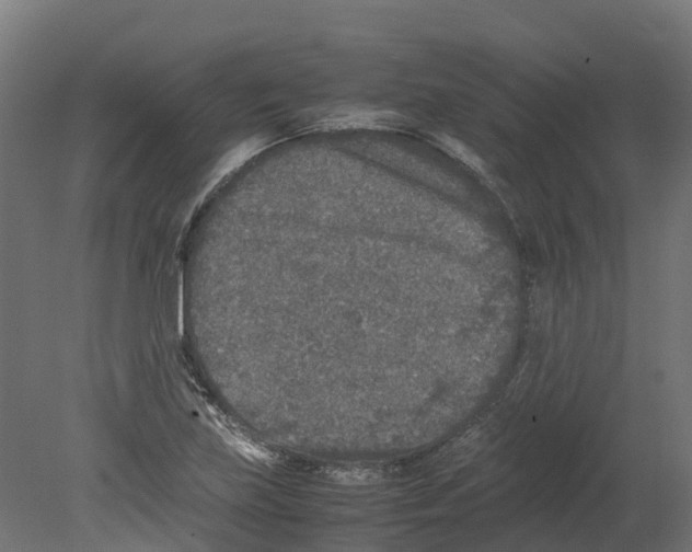 X0000080681219200701121650