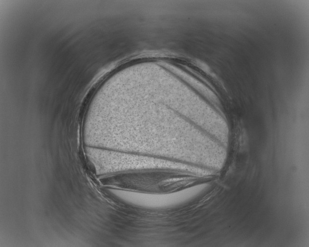 X0000080681221200701121650