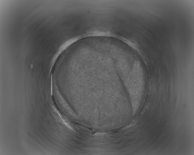 X0000080681223200701121650