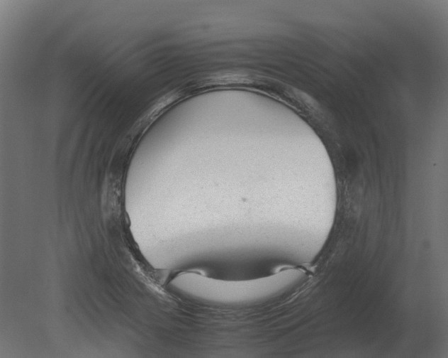 X0000080681225200701121650