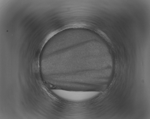 X0000080681226200701121650