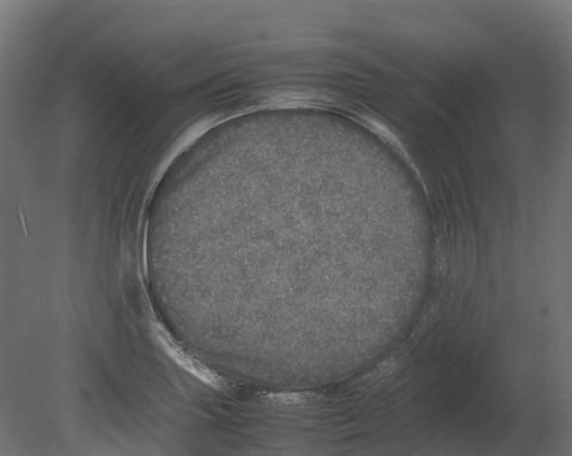 X0000080681227200701121650