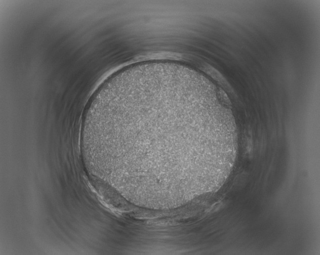 X0000080681228200701121650