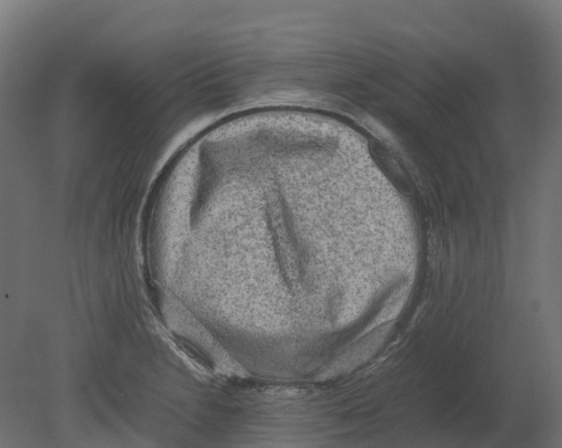 X0000080681230200701121650