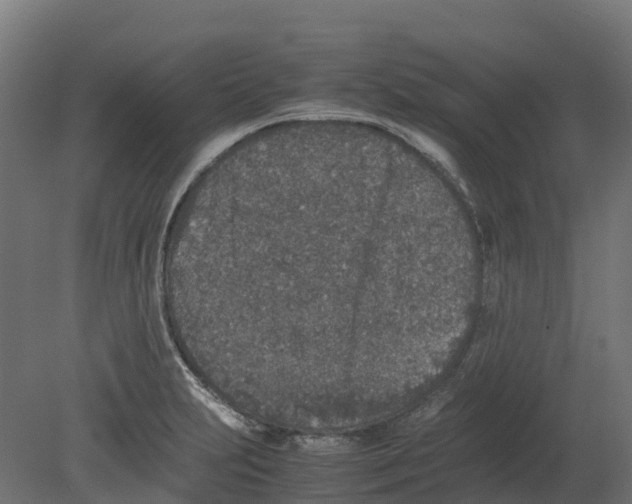 X0000080681231200701121650