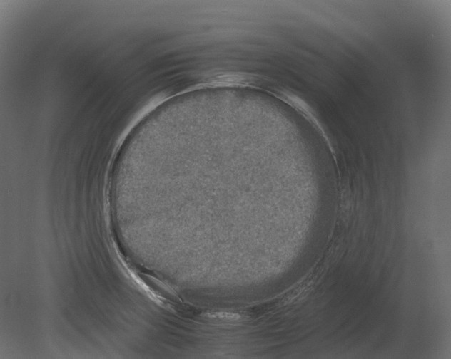 X0000080681235200701121650