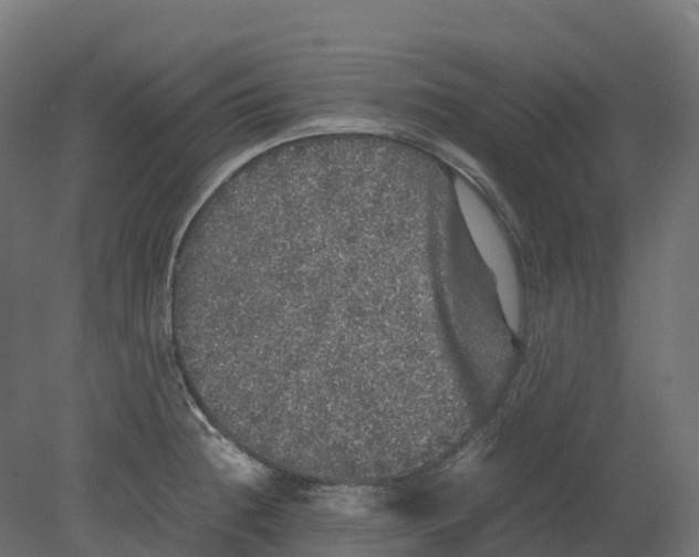 X0000080681236200701121650