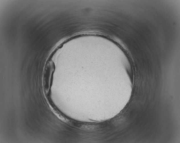 X0000080681237200701121650