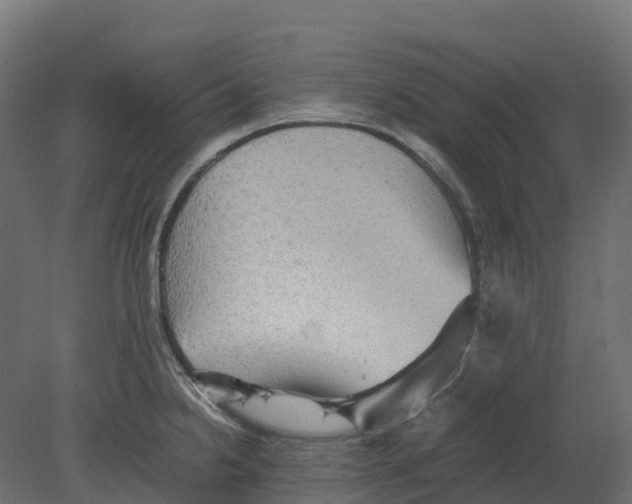 X0000080681238200701121650