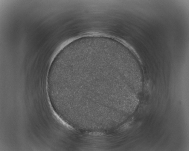 X0000080681239200701121650