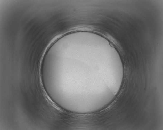 X0000080681240200701121650