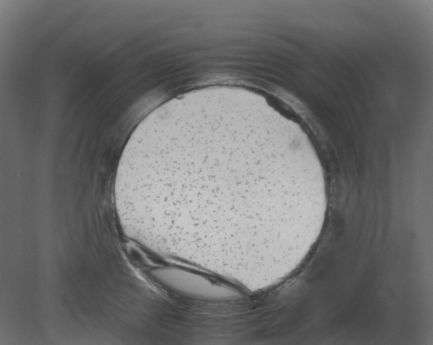 X0000080681241200701121650