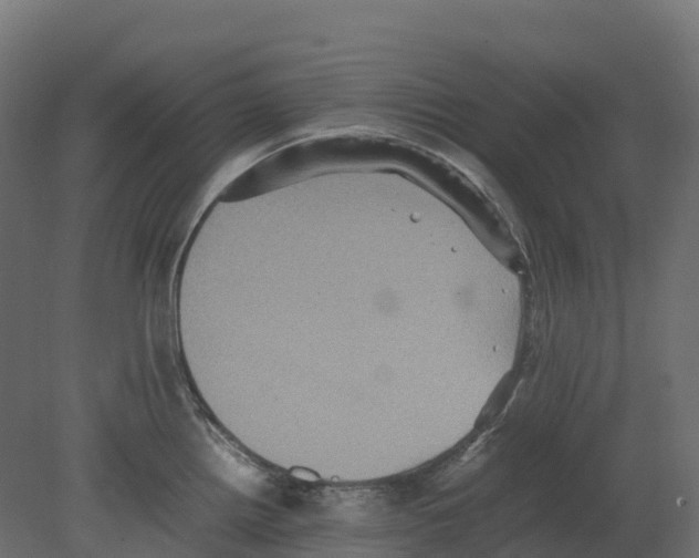 X0000080681242200701121650