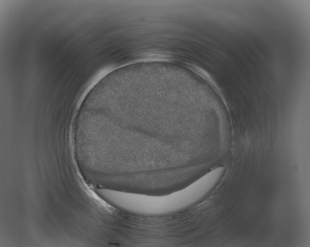 X0000080681243200701121650