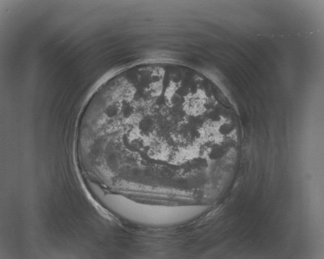 X0000080681245200701121650