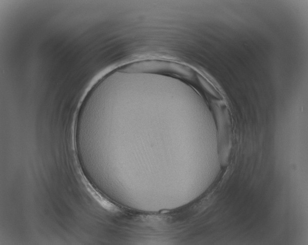 X0000080681246200701121650