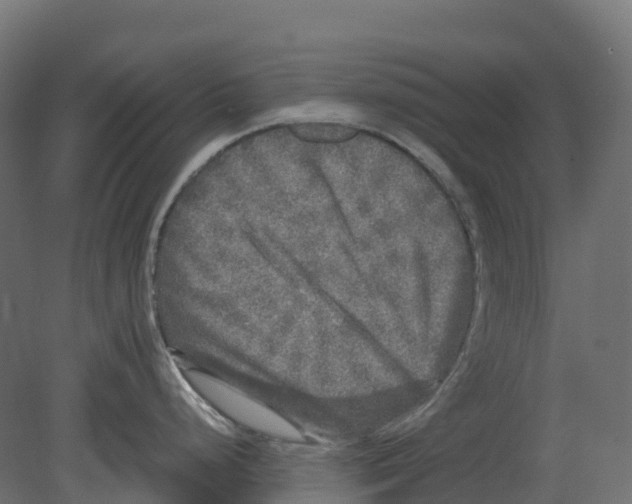 X0000080681248200701121650