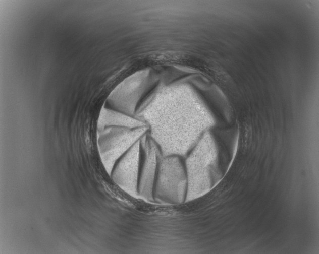 X0000080681250200701121650