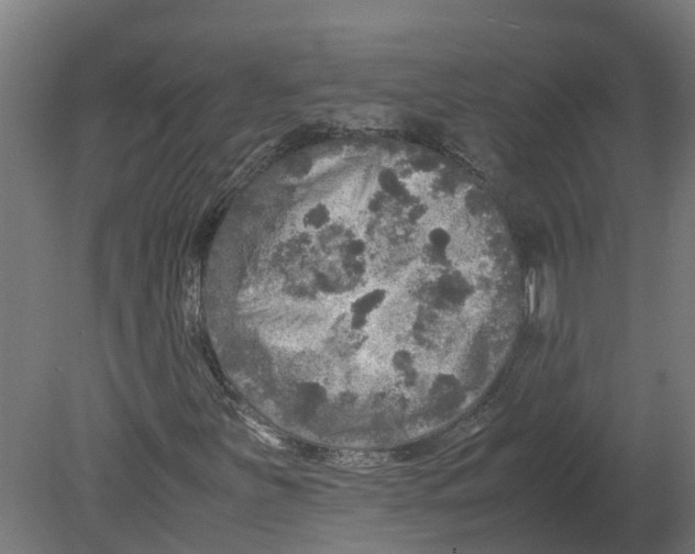 X0000080681251200701121650