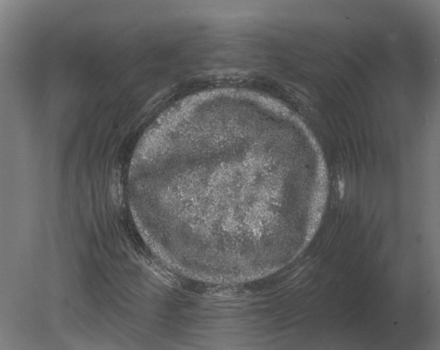 X0000080681252200701121649