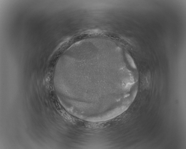 X0000080681254200701121649