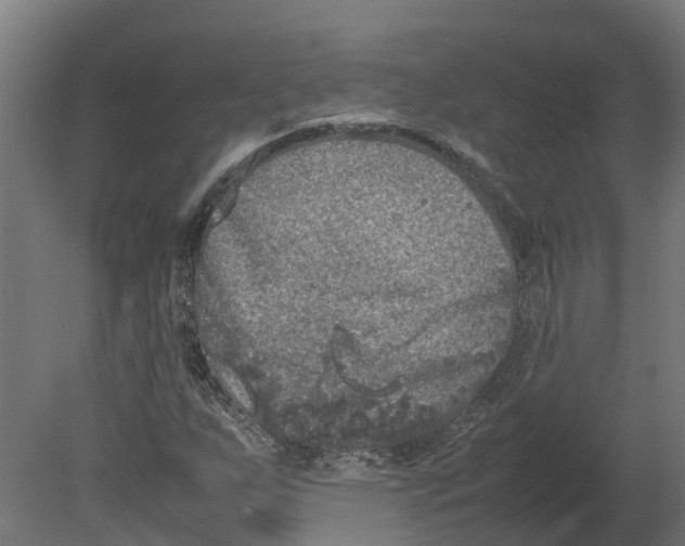 X0000080681255200701121649