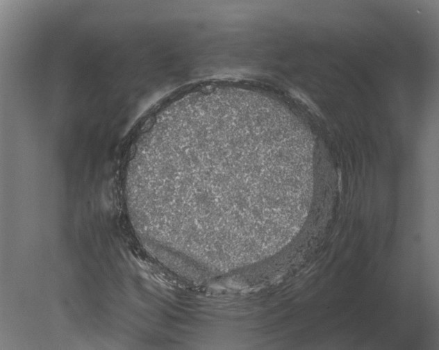 X0000080681256200701121649