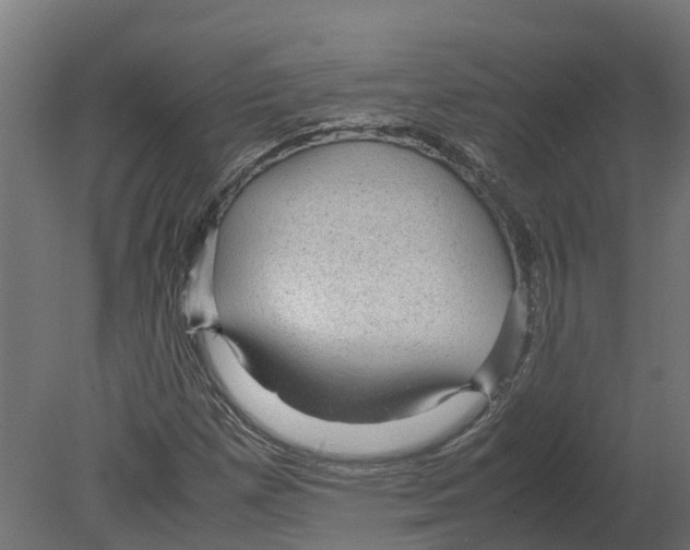 X0000080681257200701121649