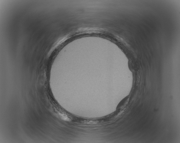 X0000080681261200701121649