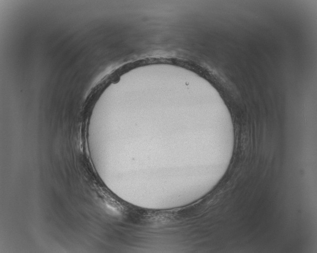 X0000080681262200701121649