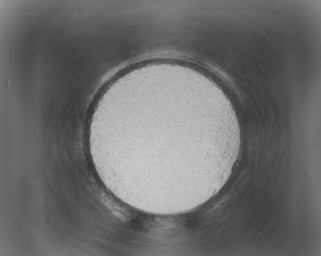 X0000080681264200701121649