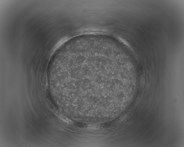 X0000080681267200701121649