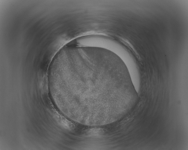 X0000080681268200701121649