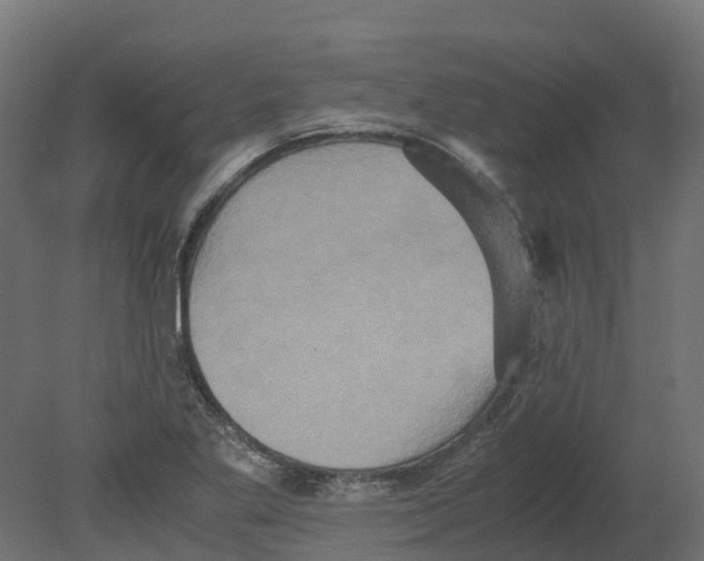 X0000080681269200701121649