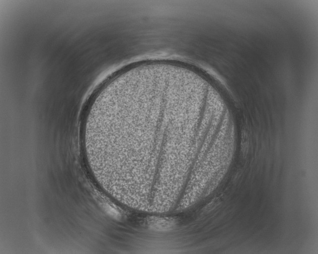 X0000080681270200701121649